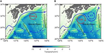 The Physical-Biogeochemical Responses to a Subsurface Anticyclonic Eddy in the Northwest Pacific